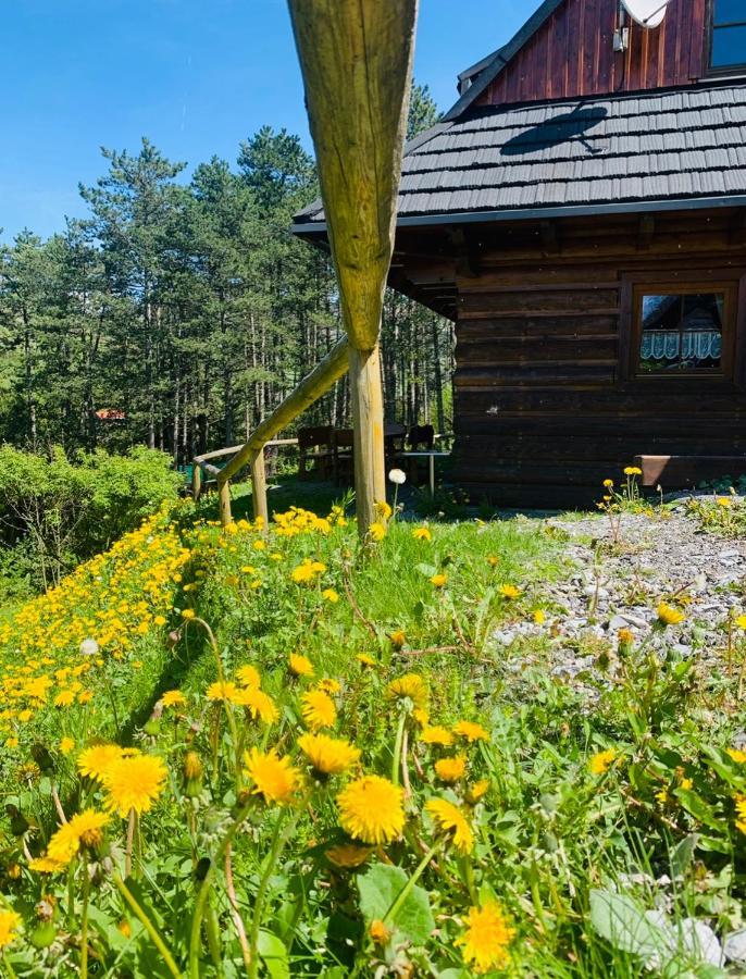 Drevenica Uhorčík Vila Terchová Exterior foto